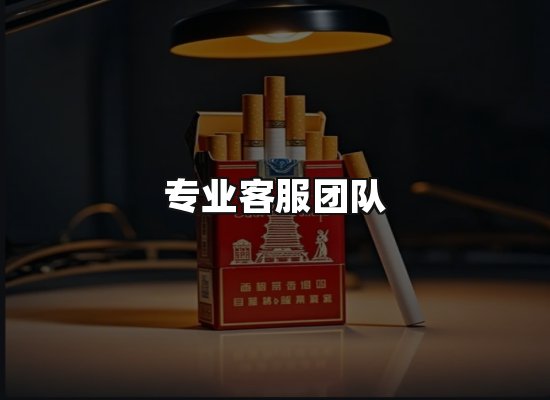 专业优势
